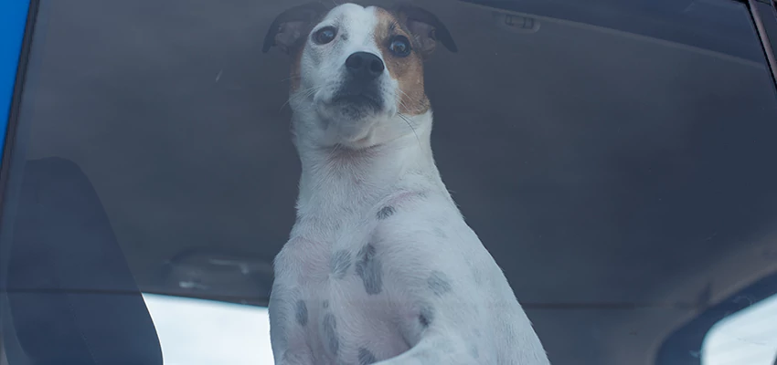 Car Lockout Solutions in West Puente Valley, California