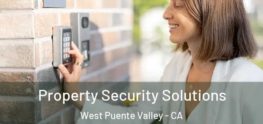  Property Security Solutions West Puente Valley - CA